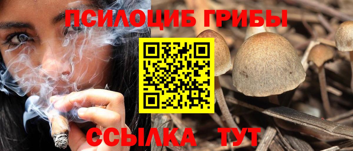 Галлюциногенные грибы Cubensis Кушва