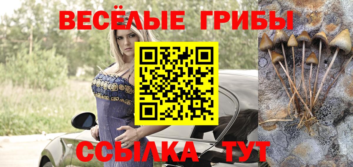 Псилоцибиновые грибы ЛСД  Вход с VPN  Кушва  Псилоцибиновые грибы Cubensis 
